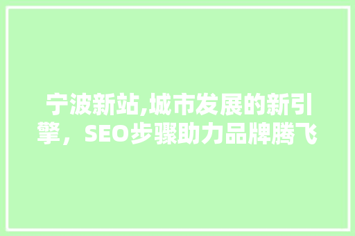 宁波新站,城市发展的新引擎，SEO步骤助力品牌腾飞 神马SEO