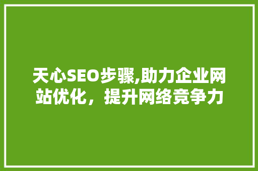天心SEO步骤,助力企业网站优化，提升网络竞争力 神马SEO