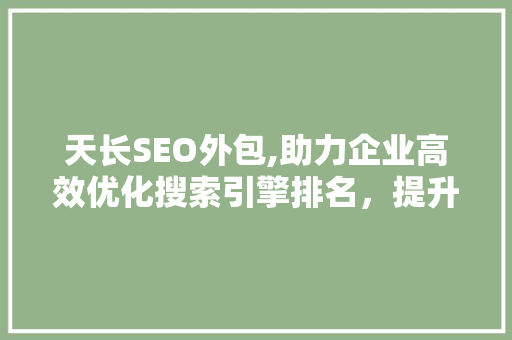 天长SEO外包,助力企业高效优化搜索引擎排名，提升品牌影响力