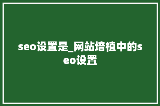 seo设置是_网站培植中的seo设置 seo设置是_网站培植中的seo设置 SEO关键词