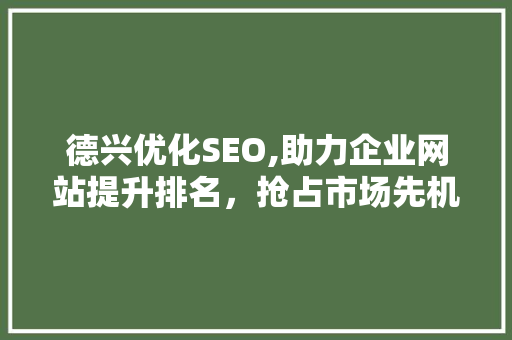德兴优化SEO,助力企业网站提升排名，抢占市场先机