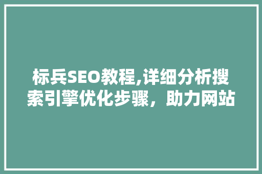 标兵SEO教程,详细分析搜索引擎优化步骤，助力网站排名提升