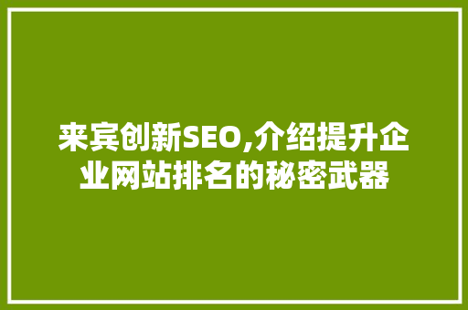 来宾创新SEO,介绍提升企业网站排名的秘密武器 网站建设公司