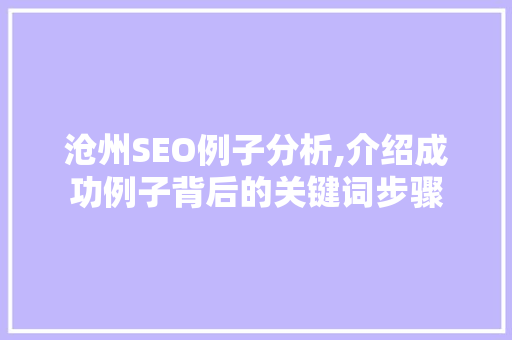 沧州SEO例子分析,介绍成功例子背后的关键词步骤 SEO关键词