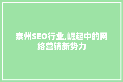 泰州SEO行业,崛起中的网络营销新势力 SEO关键词