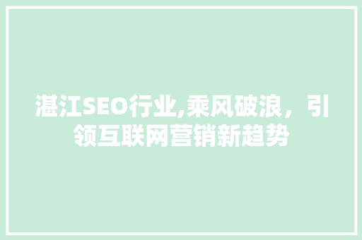 湛江SEO行业,乘风破浪，引领互联网营销新趋势