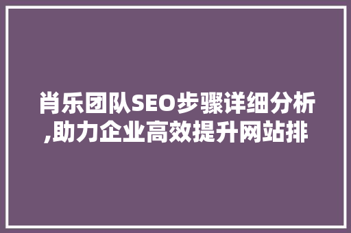 肖乐团队SEO步骤详细分析,助力企业高效提升网站排名