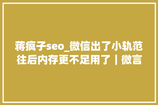 蒋疯子seo_微信出了小轨范往后内存更不足用了｜微言