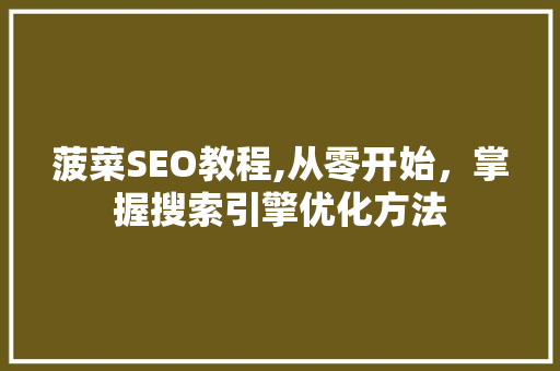 菠菜SEO教程,从零开始，掌握搜索引擎优化方法 网站建设公司