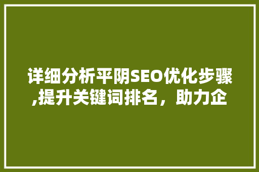 详细分析平阴SEO优化步骤,提升关键词排名，助力企业腾飞 网站建设公司