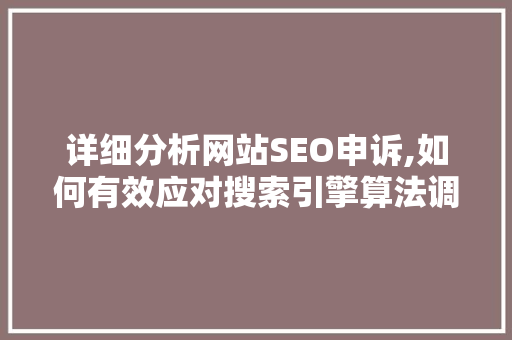 详细分析网站SEO申诉,如何有效应对搜索引擎算法调整带来的挑战 神马SEO