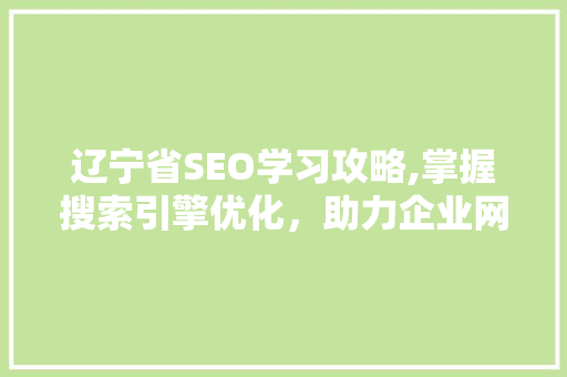 辽宁省SEO学习攻略,掌握搜索引擎优化，助力企业网络营销