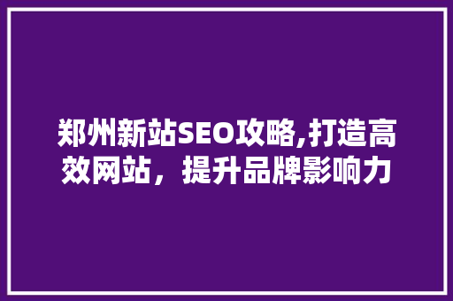 郑州新站SEO攻略,打造高效网站，提升品牌影响力