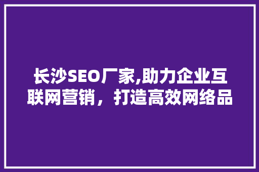 长沙SEO厂家,助力企业互联网营销，打造高效网络品牌形象 百度SEO