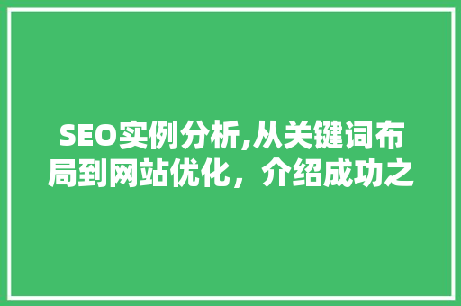SEO实例分析,从关键词布局到网站优化，介绍成功之路