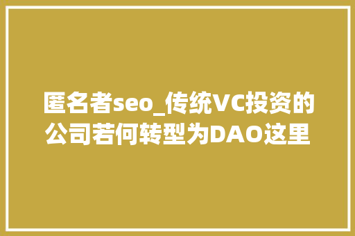 匿名者seo_传统VC投资的公司若何转型为DAO这里有一个DAO首创人的自述案例