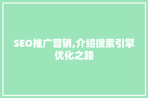 SEO推广营销,介绍搜索引擎优化之路
