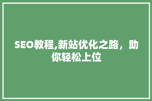 SEO教程,新站优化之路，助你轻松上位