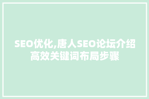 SEO优化,唐人SEO论坛介绍高效关键词布局步骤