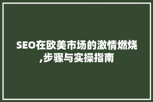 SEO在欧美市场的激情燃烧,步骤与实操指南 必应SEO