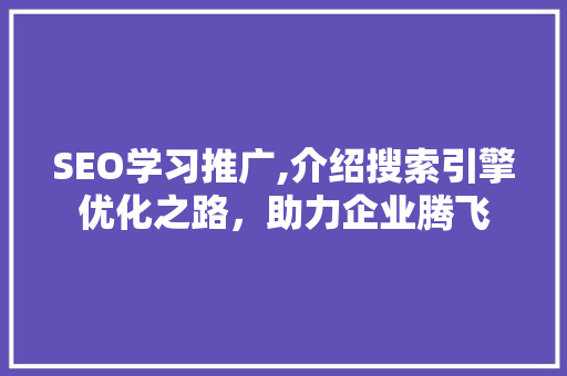 SEO学习推广,介绍搜索引擎优化之路，助力企业腾飞 必应SEO
