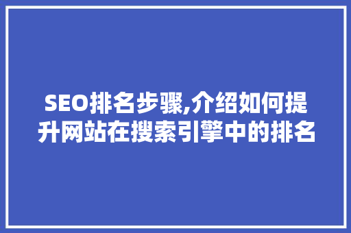 SEO排名步骤,介绍如何提升网站在搜索引擎中的排名 SEO关键词