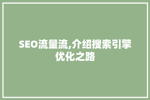 SEO流量流,介绍搜索引擎优化之路