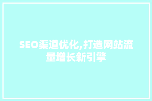 SEO渠道优化,打造网站流量增长新引擎