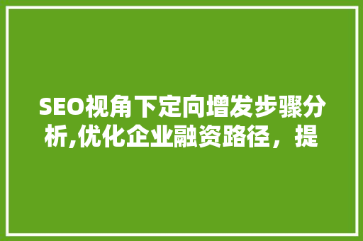 SEO视角下定向增发步骤分析,优化企业融资路径，提升市场竞争力
