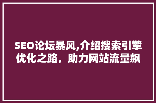 SEO论坛暴风,介绍搜索引擎优化之路，助力网站流量飙升