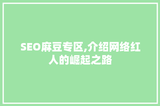 SEO麻豆专区,介绍网络红人的崛起之路