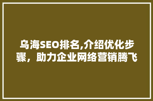 乌海SEO排名,介绍优化步骤，助力企业网络营销腾飞