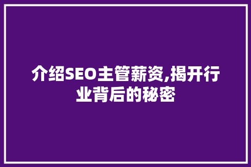 介绍SEO主管薪资,揭开行业背后的秘密
