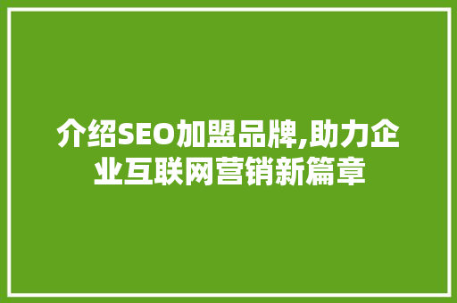介绍SEO加盟品牌,助力企业互联网营销新篇章 网站建设公司