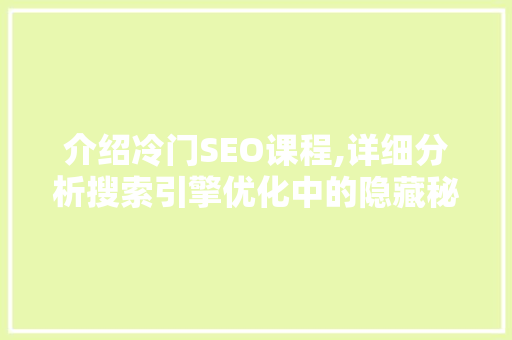 介绍冷门SEO课程,详细分析搜索引擎优化中的隐藏秘密