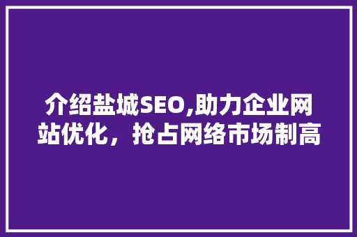 介绍盐城SEO,助力企业网站优化，抢占网络市场制高点