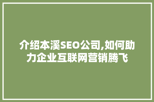 介绍本溪SEO公司,如何助力企业互联网营销腾飞 神马SEO