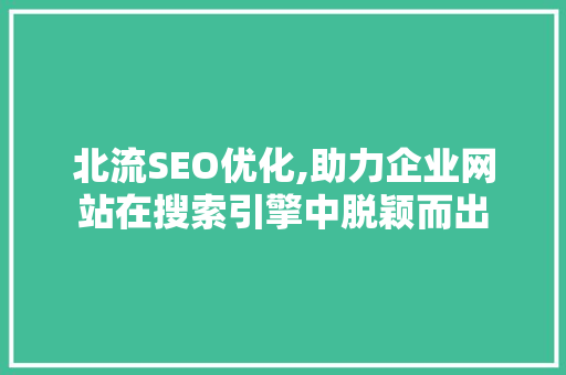 北流SEO优化,助力企业网站在搜索引擎中脱颖而出