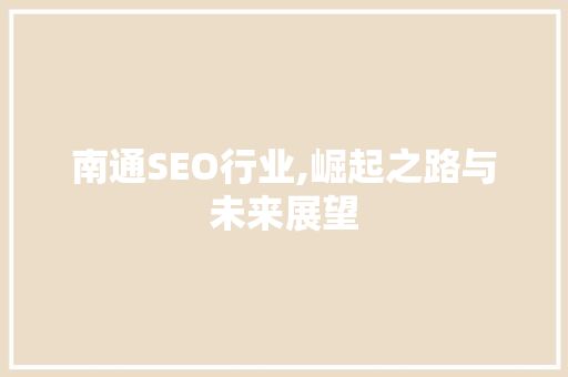 南通SEO行业,崛起之路与未来展望 网站建设公司