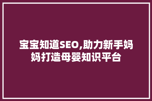 宝宝知道SEO,助力新手妈妈打造母婴知识平台