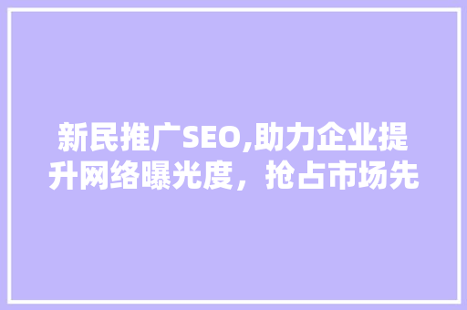 新民推广SEO,助力企业提升网络曝光度，抢占市场先机 必应SEO