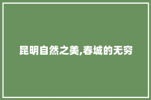 昆明自然之美,春城的无穷 必应SEO