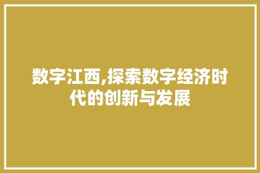 数字江西,探索数字经济时代的创新与发展 网站建设公司