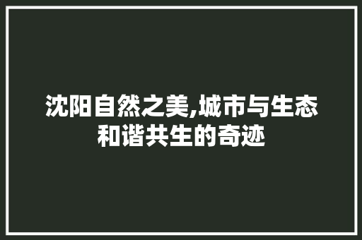 沈阳自然之美,城市与生态和谐共生的奇迹