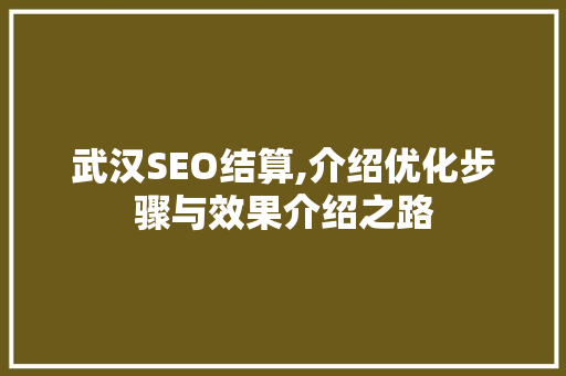 武汉SEO结算,介绍优化步骤与效果介绍之路