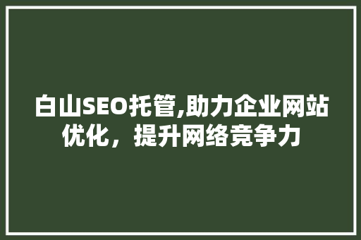 白山SEO托管,助力企业网站优化，提升网络竞争力 网站建设公司