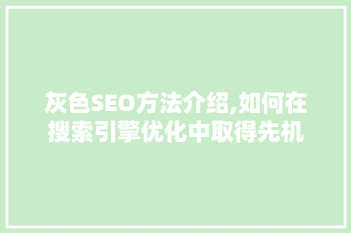 灰色SEO方法介绍,如何在搜索引擎优化中取得先机 必应SEO