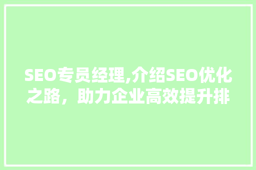 SEO专员经理,介绍SEO优化之路，助力企业高效提升排名