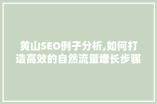 黄山SEO例子分析,如何打造高效的自然流量增长步骤