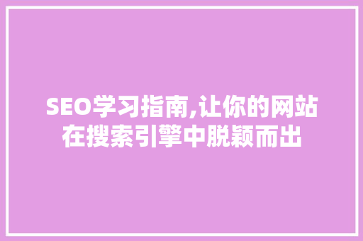 SEO学习指南,让你的网站在搜索引擎中脱颖而出